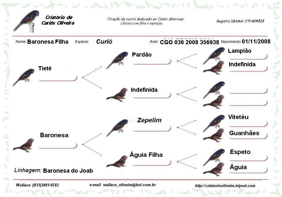 baronesafilha.jpg